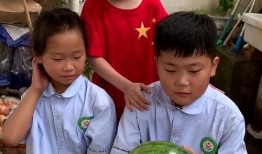 t姐吃瓜,t姐吃瓜，带你领略幕后风云