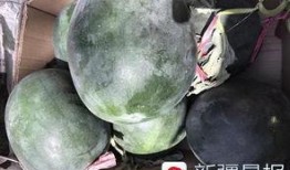 吐鲁番吃瓜群众事件,一场关于瓜农权益的全民热议