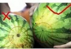 吃瓜福州网红,揭秘网络红人的魅力与争议