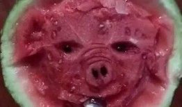 笑死吃瓜,揭秘那些让人捧腹大笑的吃瓜瞬间