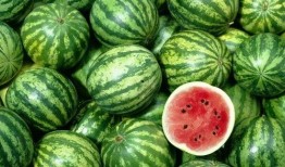 徐总买瓜吃,品味人生，共享欢乐时光