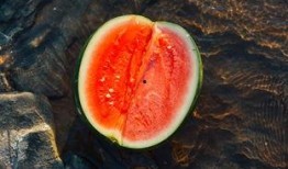 茶盘吃瓜,品味生活雅趣