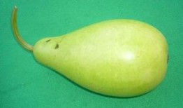 吃蒲瓜的功效,润肺止咳，清热解毒的天然良药