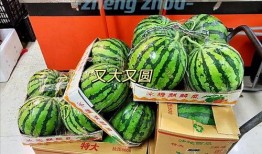郑州财经事件吃瓜