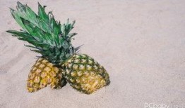 产妇可以吃乳瓜吗,产妇适宜食用乳瓜的健康指南