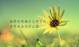 吃瓜领悟人生感悟,从瓜中领悟的哲理与智慧