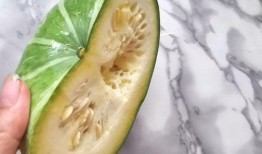 贝贝瓜炒着吃还有营养吗,贝贝瓜炒制美味与营养并存