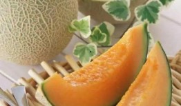 菠萝吃哈密瓜,一场甜蜜的味蕾之旅