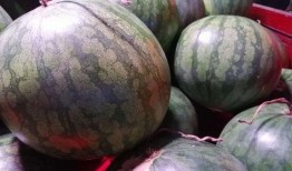 吃瓜主题拍摄,揭秘娱乐圈那些鲜为人知的幕后故事