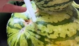 吃瓜素材搞笑视频