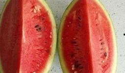 表面实际吃瓜