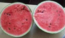 经常吃块瓜好吗,日常饮食中的健康佳选，常吃真的好吗？