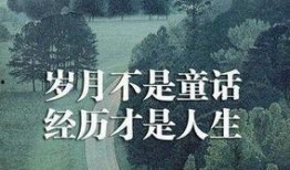 吃瓜领悟人生感悟,从瓜中领悟的哲理与智慧