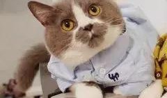 吃瓜路人阿狸,揭秘娱乐圈幕后故事