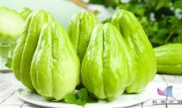 哪些人不宜吃佛手瓜,这些人群需谨慎