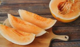 晓蜜瓜坏了怎么吃,创意食用新体验