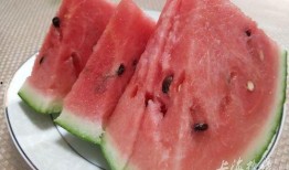 爱牛吃瓜,揭秘动物界的趣味食性之谜