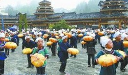 雷山吃瓜事件,一场引发社会热议的网络狂欢