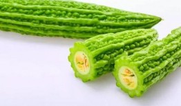 吃瓜系统姜墨,一场娱乐与科技的跨界盛宴