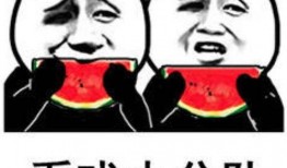 吃瓜主角,揭秘吃瓜主角背后的故事