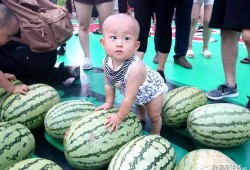 大哈吃瓜,揭秘娱乐圈幕后故事