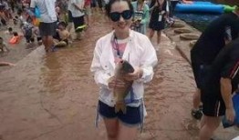 摸鱼吃瓜活动,摸鱼吃瓜，共享欢乐时光