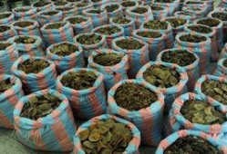 破旧工厂吃瓜,见证岁月流转的市井烟火