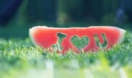 语言《看花和吃瓜》,一场视觉与味觉的双重盛宴