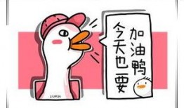 吃瓜单身汪,揭秘娱乐圈那些事儿