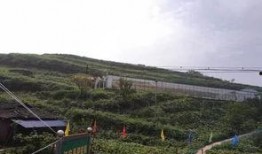 雷山吃瓜事件,一场引发社会热议的网络狂欢