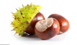 肾病可以吃板栗瓜吗