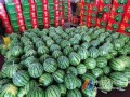 宁波云龙镇吃瓜,瓜果飘香，夏日里的甜蜜时光