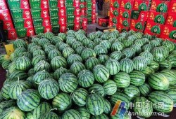 宁波云龙镇吃瓜,瓜果飘香，夏日里的甜蜜时光