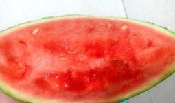 吃瓜的瑞士球,吃瓜群众的健身革命