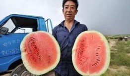 吃瓜群图,揭秘吃瓜群图背后的社交现象