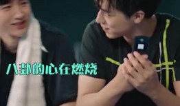 荣耀乒乓吃瓜,吃瓜群众揭秘赛场背后的精彩故事