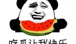吃瓜党一线吃瓜群众,揭秘吃瓜群众的热情与智慧