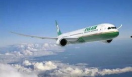 台湾长荣航空吃瓜,揭秘背后的吃瓜真相