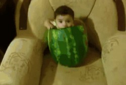 吃不吃瓜音频,揭秘“吃不吃瓜”音频背后的热点追踪与娱乐风向