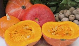 拼豆圈吃瓜,揭秘网络社交背后的趣味与争议