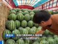 吃瓜自由水晶瓜