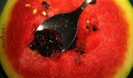 带你吃瓜奇葩鱼,带你探索奇特的“带你吃瓜奇葩鱼”世界