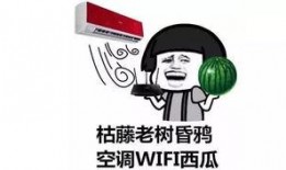 变成吃瓜群众,吃瓜群众视角下的明星生活