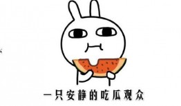 吃瓜博主介绍,带你领略娱乐圈幕后风云