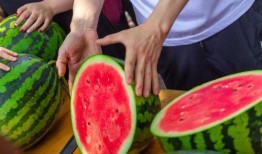 大学吃瓜榜,揭秘校园里的热门八卦风云