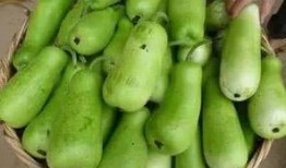 吃的葫芦瓜,探寻家常与创意的完美融合