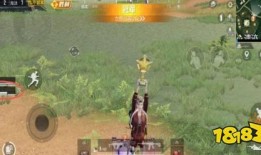 和平精英吃瓜群,揭秘游戏圈幕后风云