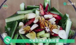 嫩瓜种子怎么吃,探索创意烹饪新境界