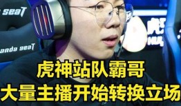 吃瓜团直播,揭秘娱乐圈幕后故事