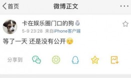 吃瓜精选爆料,吃瓜精选爆料，带你直击明星幕后真相